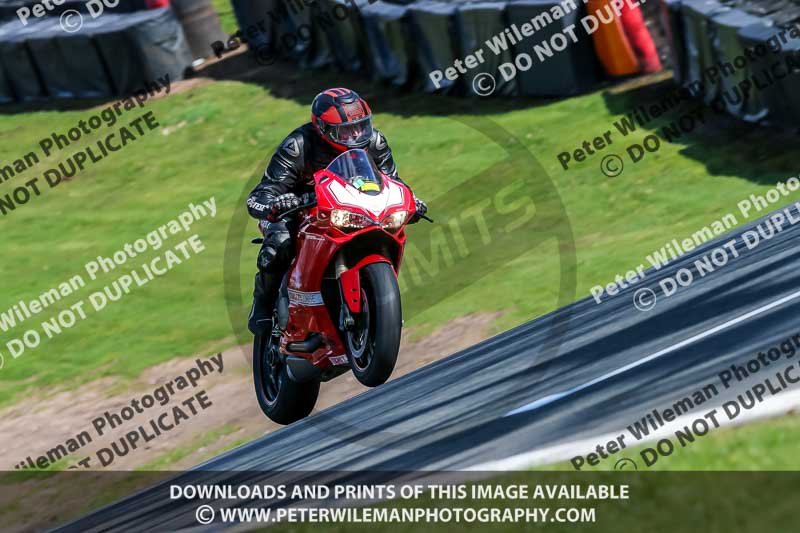 Oulton Park 20th March 2020;PJ Motorsport Photography 2020;anglesey;brands hatch;cadwell park;croft;donington park;enduro digital images;event digital images;eventdigitalimages;mallory;no limits;oulton park;peter wileman photography;racing digital images;silverstone;snetterton;trackday digital images;trackday photos;vmcc banbury run;welsh 2 day enduro